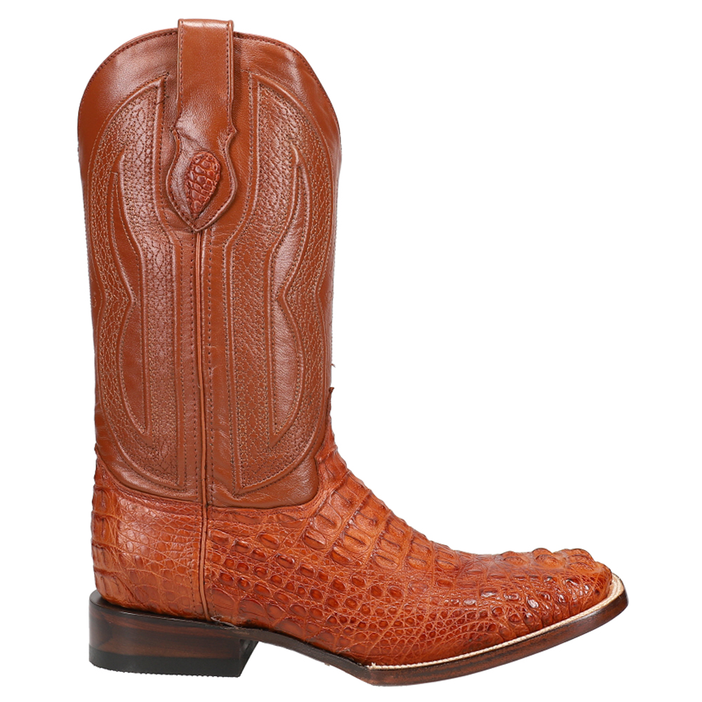 ferrini caiman boots