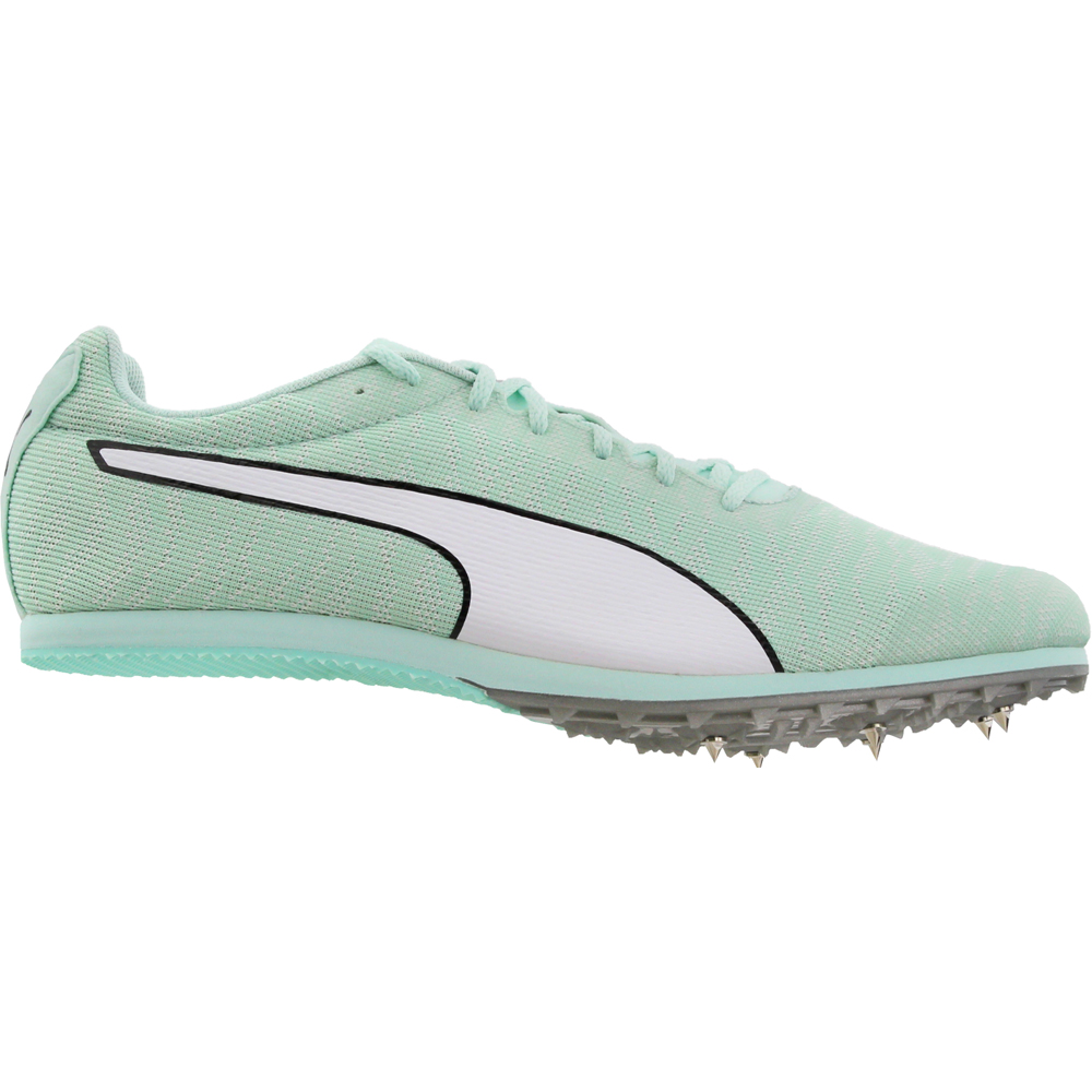 evospeed star 6