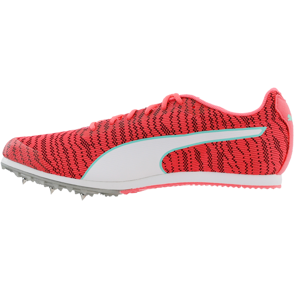 evospeed star 6