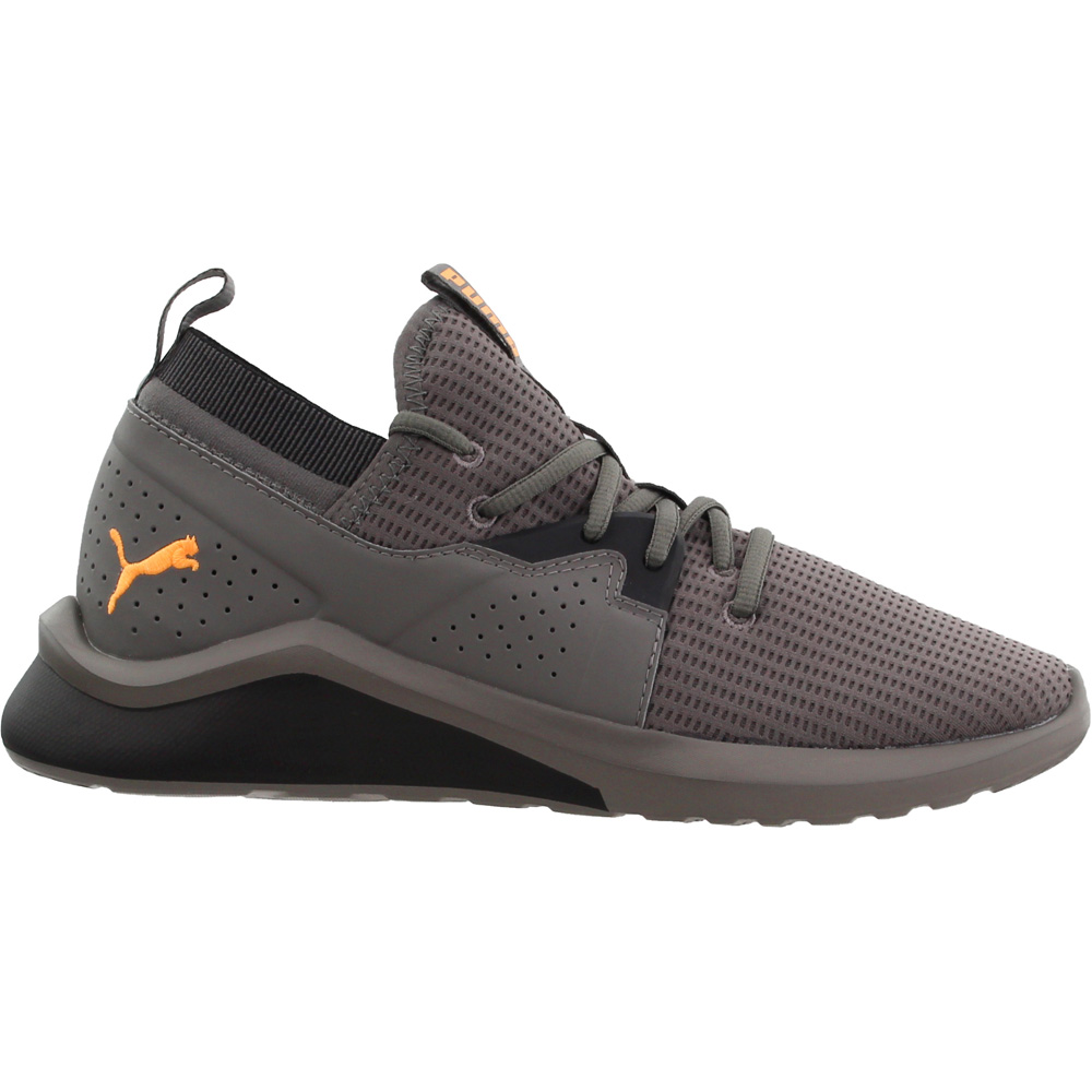 puma emergence future