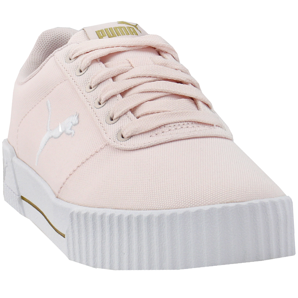 puma carina summer cat