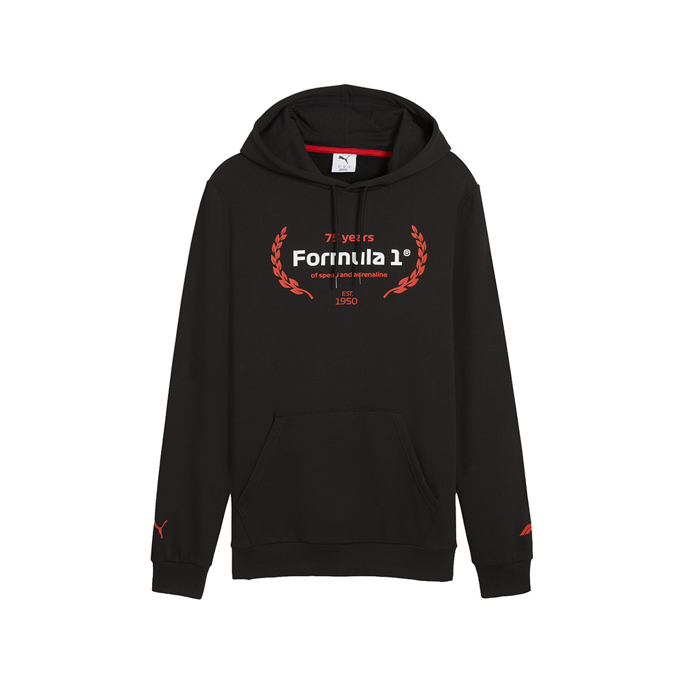 PUMA F1 Essentials Logo Graphic Pullover Hoodie