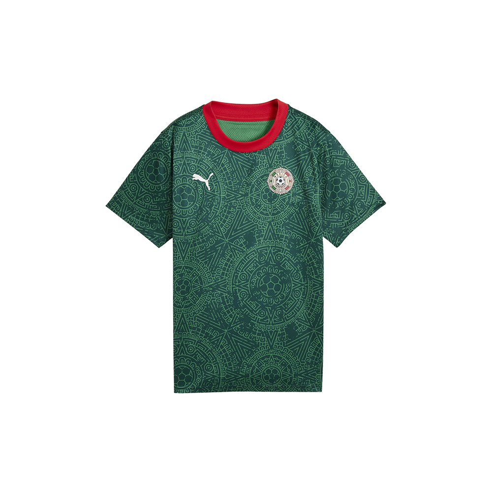 PUMA Mexico Soccer Fanwear Big Kids' Jersey in Green, Size S