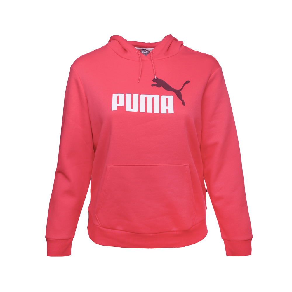 PUMA Essentials Logo Pullover Hoodie