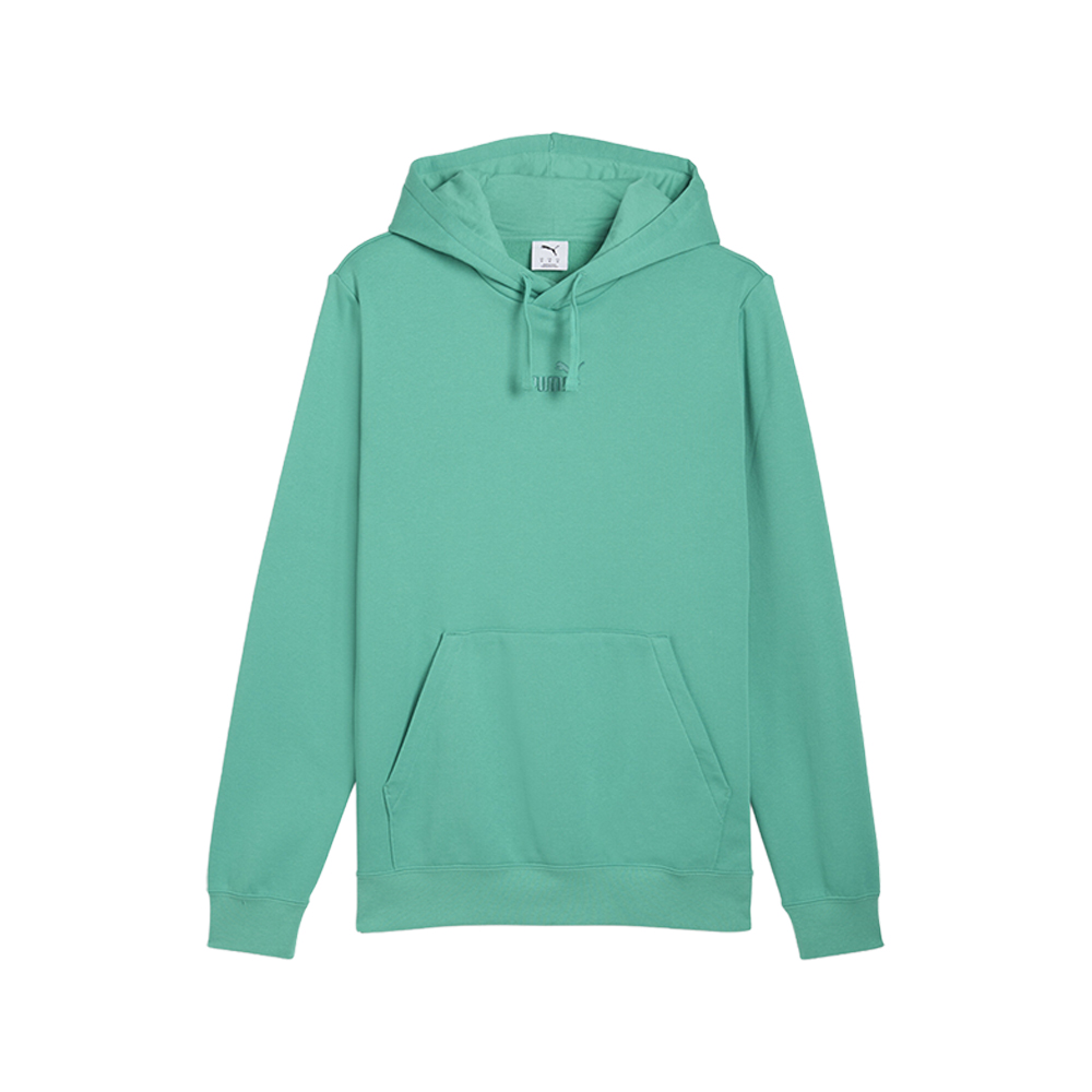 PUMA Essentials Small No.1 Logo Centered Pullover Hoodie