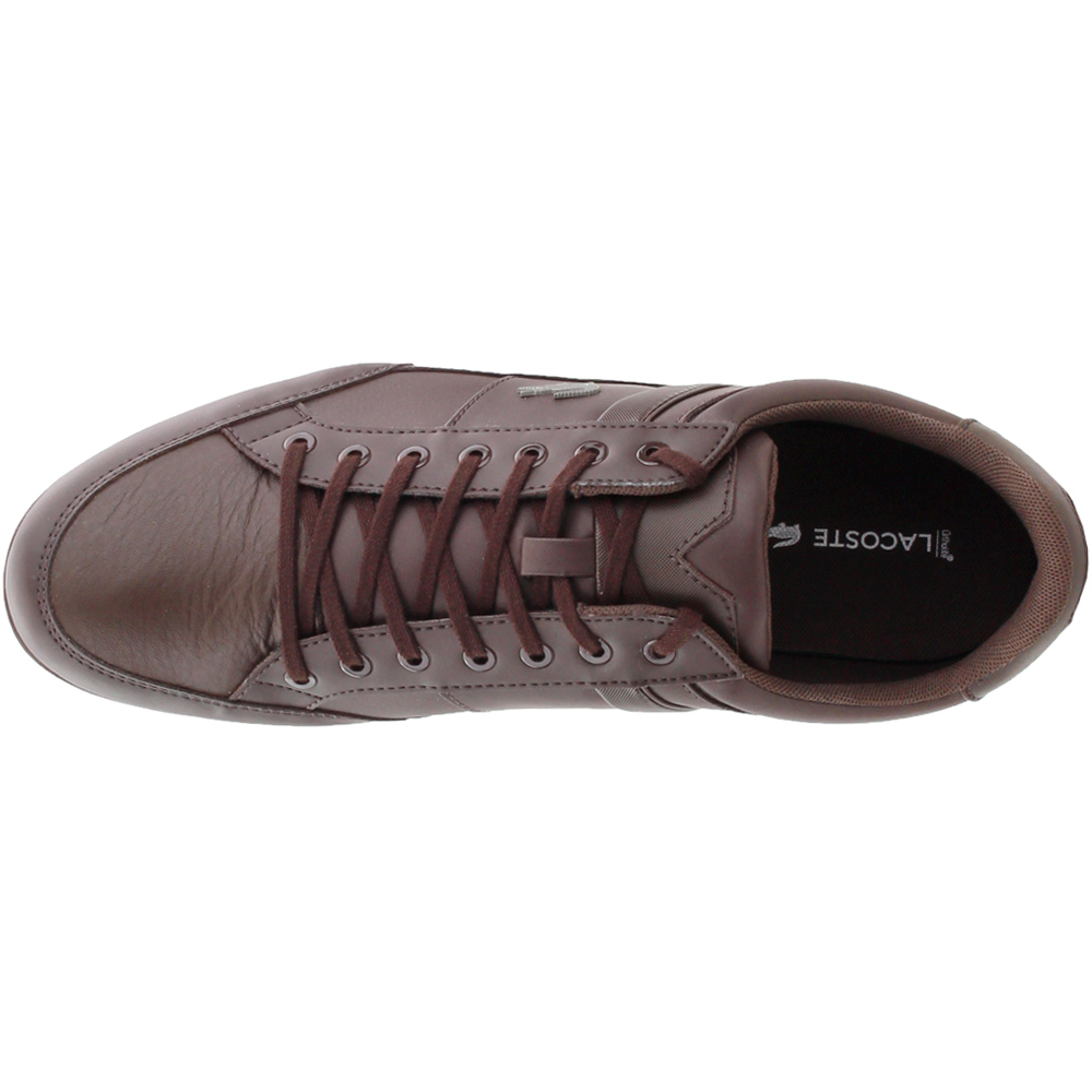lacoste chaymon dark brown