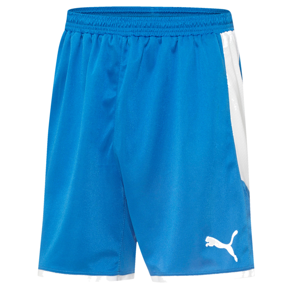 Шорты Puma Borussia Youth Boys Синие спортивные повседневные штаны 703039-02-Y