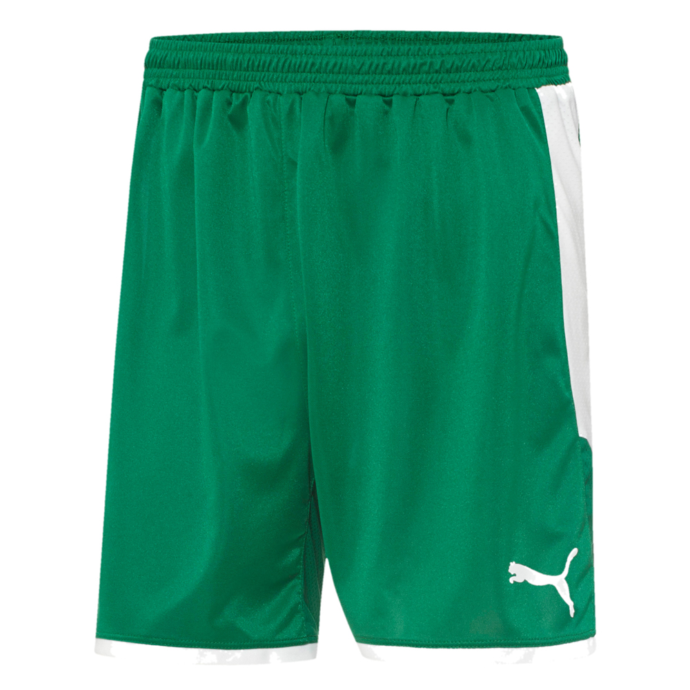 puma velize shorts