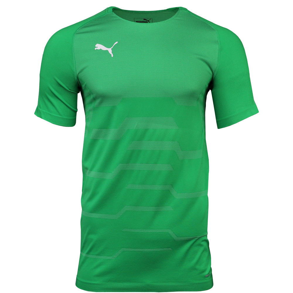 Puma final evoknit 2025 goalkeeper jersey