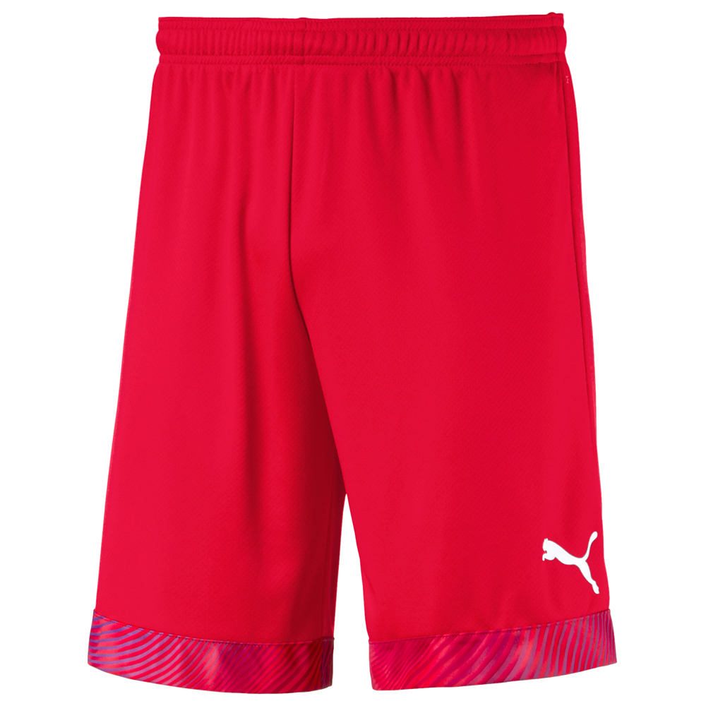 Puma Cup Shorts Mens Red Casual Athletic Bottoms 70403401 eBay