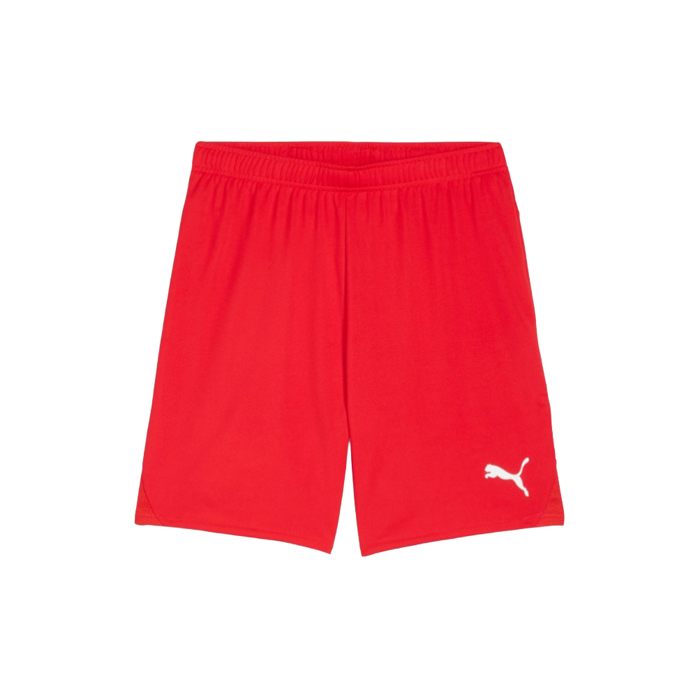 PUMA teamGOAL Men's Soccer Shorts in Red, Size XXL