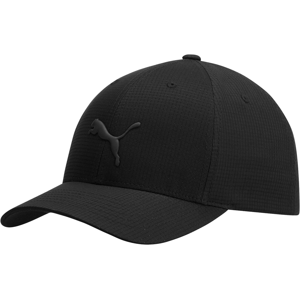 puma flexfit cap